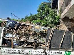 Best Property Management Cleanouts  in Lake Summerset, IL